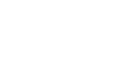 Neev Spaces